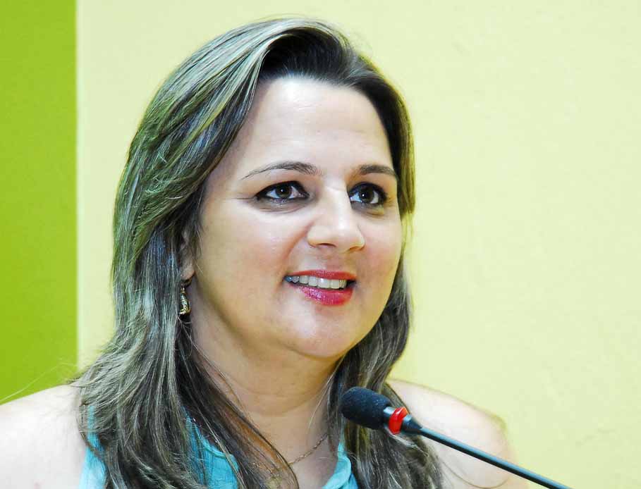 Dia Internacional da Mulher será lembrado durante solenidade no Legislativo de Santo Ângelo 