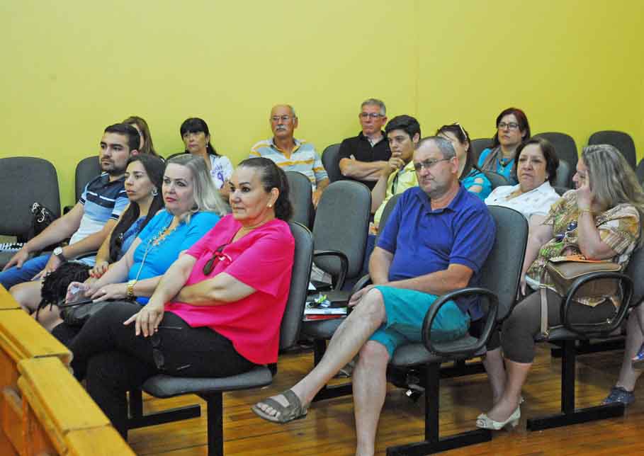 Plano Municipal de Políticas Públicas para as Mulheres é aprovado durante audiência no Legislativo de Santo Ângelo  