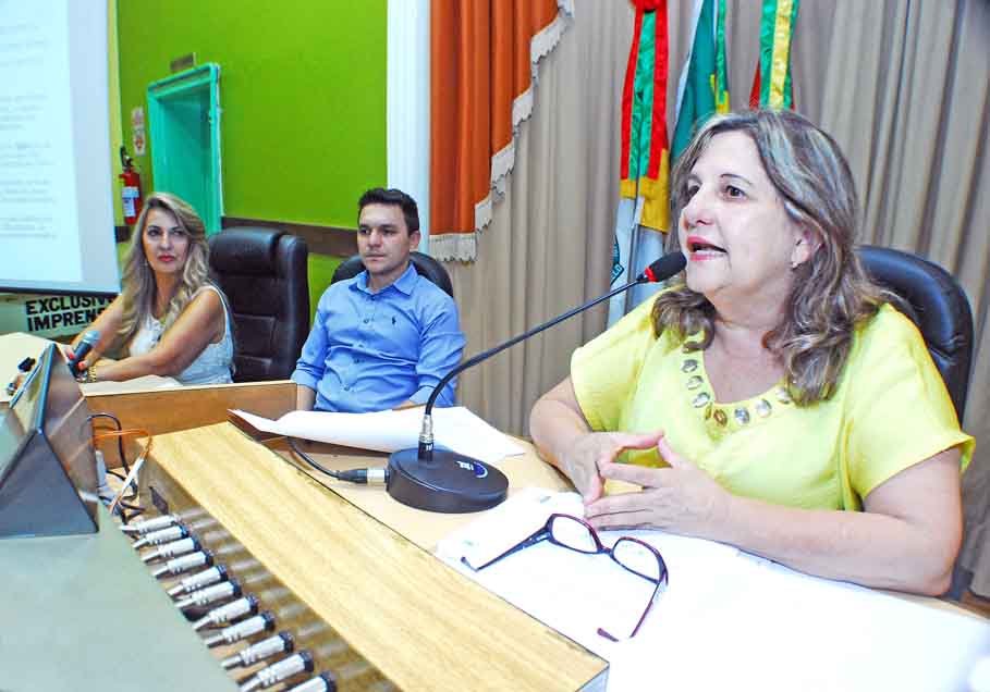 Plano Municipal de Políticas Públicas para as Mulheres é aprovado durante audiência no Legislativo de Santo Ângelo  