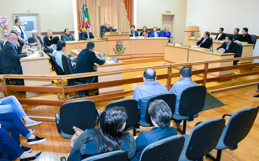 Poder Legislativo presta homenagem à Liga Feminina de Combate ao Câncer de Santo Ângelo 