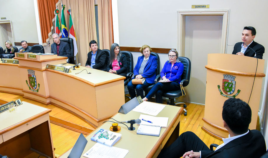 Poder Legislativo presta homenagem à Liga Feminina de Combate ao Câncer de Santo Ângelo 