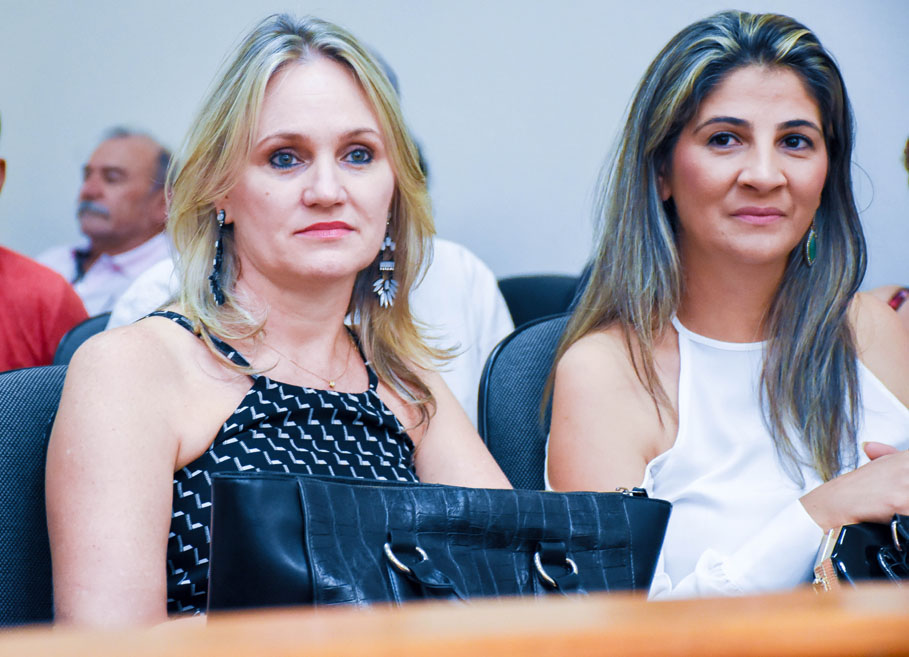 DIA DA MULHER: Desigualdade de gêneros e atuação feminina em cargos públicos marcaram sessão alusiva à data no Legislativo de Santo Ângelo
