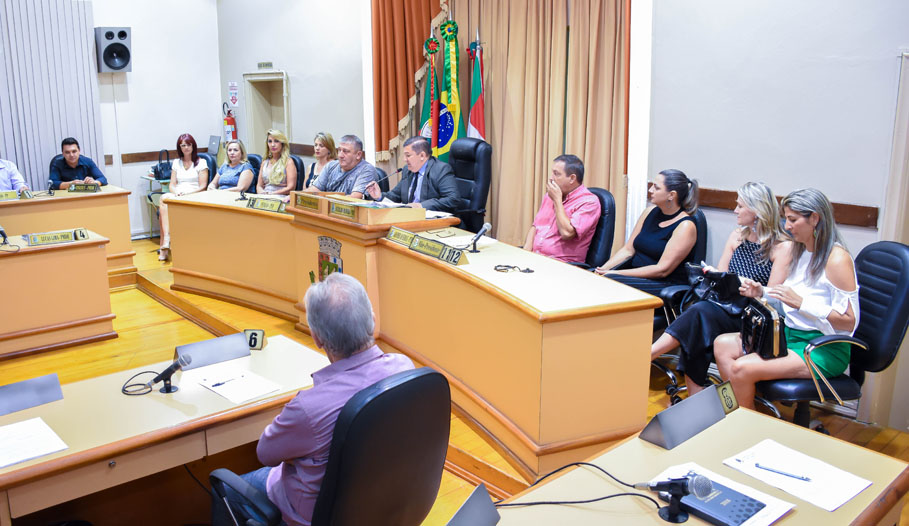 DIA DA MULHER: Desigualdade de gêneros e atuação feminina em cargos públicos marcaram sessão alusiva à data no Legislativo de Santo Ângelo