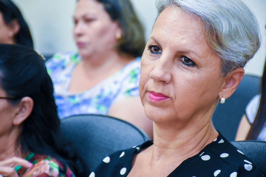 DIA DA MULHER: Desigualdade de gêneros e atuação feminina em cargos públicos marcaram sessão alusiva à data no Legislativo de Santo Ângelo