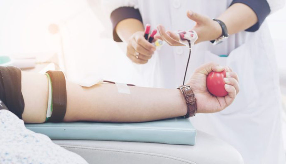Vereadores aprovam PL que concede benefício a doadores de sangue em Santo Ângelo