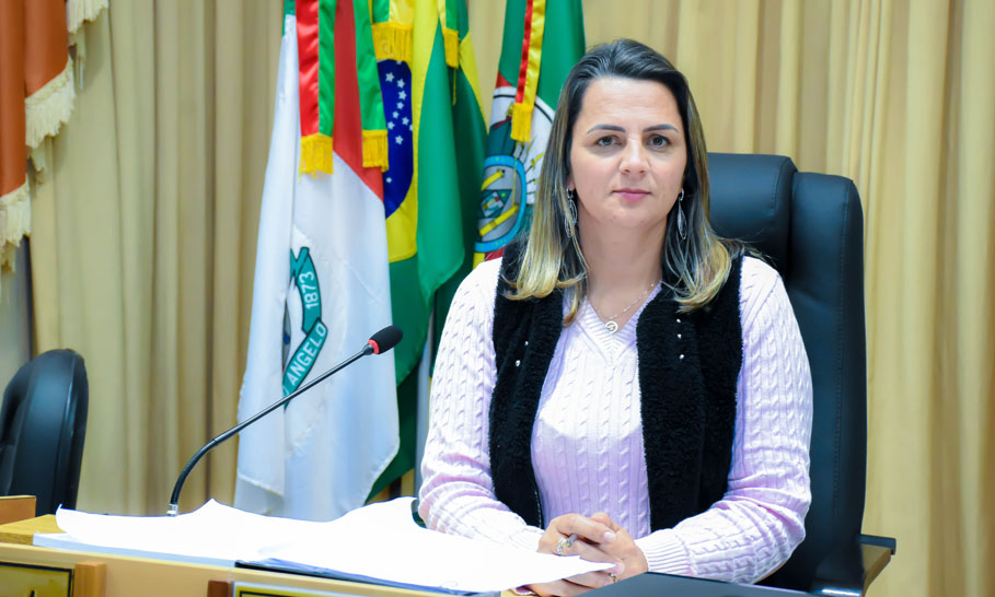 Projeto Sugestão prevê criação do Conselho Tutelar do Idoso