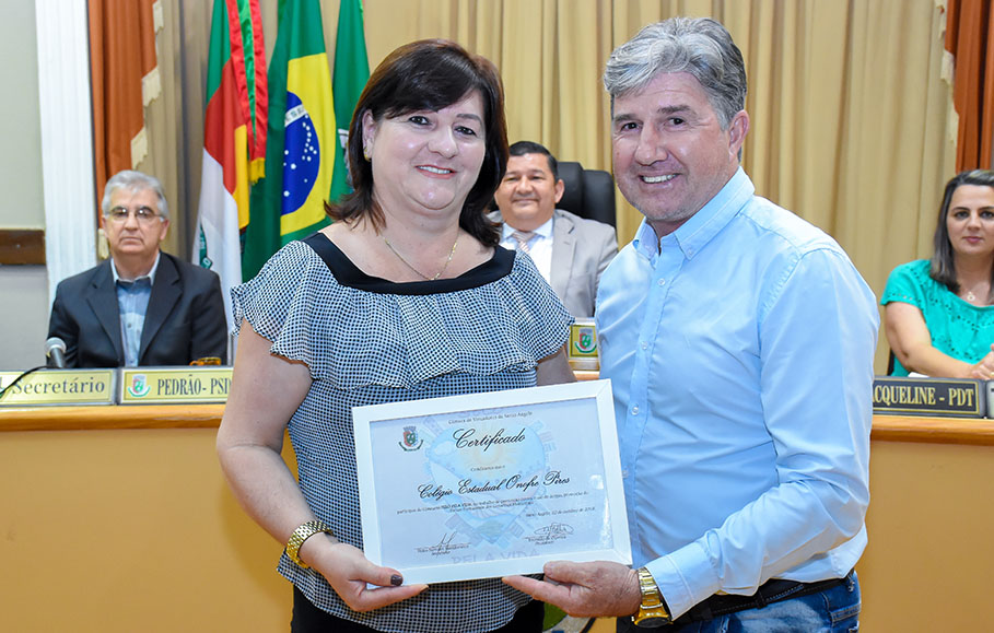 Sessão Especial entrega homenagens do Programa Selo Pela Vida