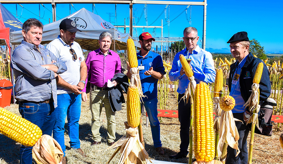Dia de Campo movimenta Fenamilho Internacional