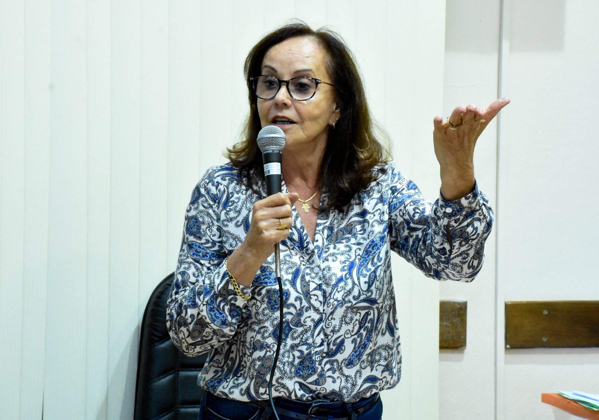 Regulamentação da Lei Lucas é tema de PI da vereadora Zilá Andres