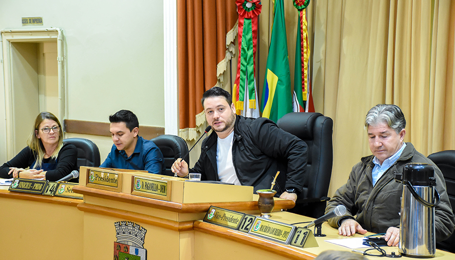 Audiência Pública debate causa dos pequenos animais em Santo Ângelo
