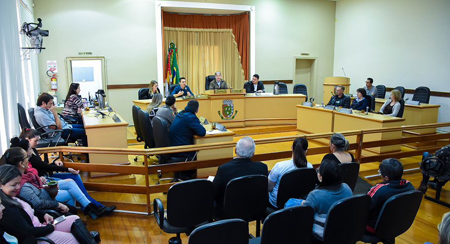 Audiência Pública debate causa dos pequenos animais em Santo Ângelo