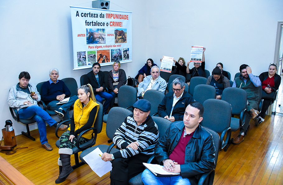 Audiência Pública debate maus tratos a animais em veículos de tração