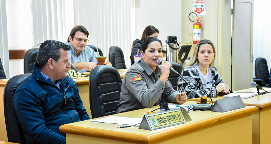 Audiência Pública debate causa dos pequenos animais em Santo Ângelo