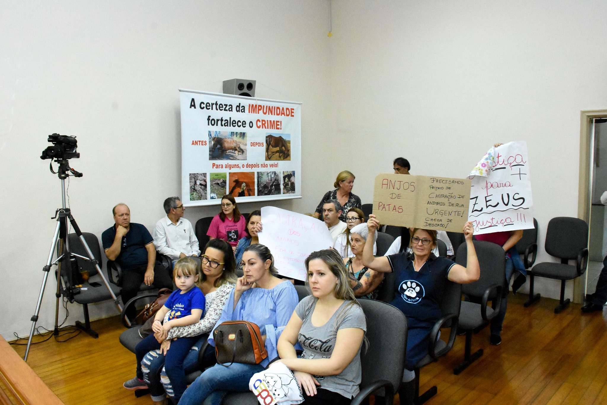 Audiências Públicas debaterão causa animal em Santo Ângelo