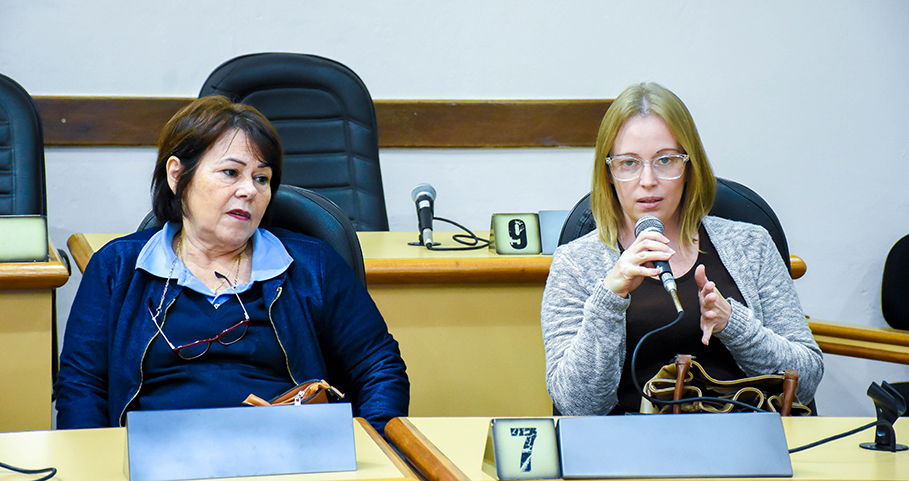 Audiência Pública debate causa dos pequenos animais em Santo Ângelo