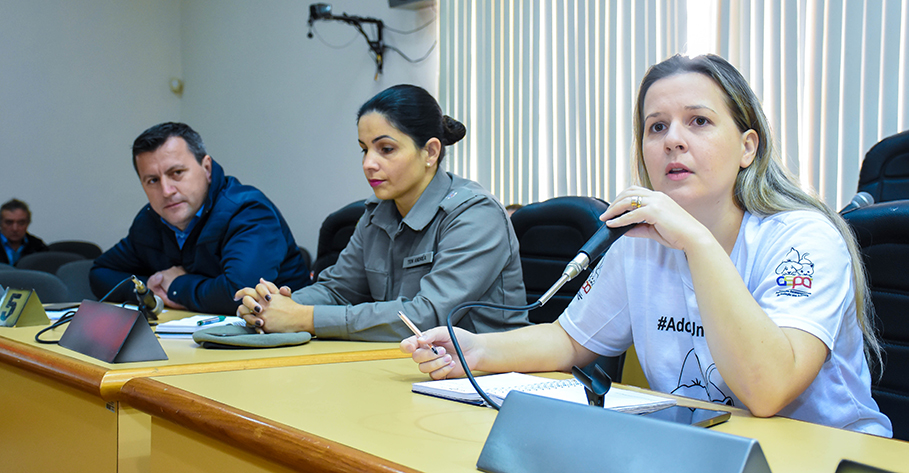 Audiência Pública debate causa dos pequenos animais em Santo Ângelo