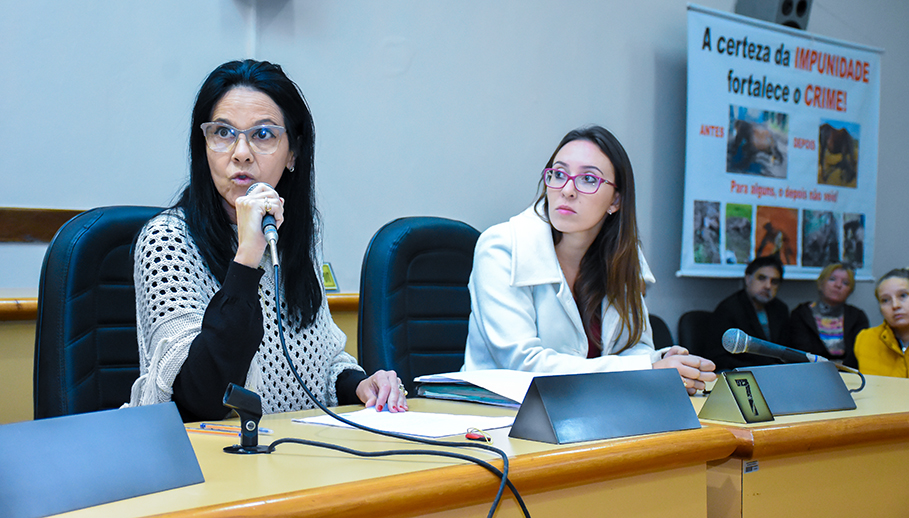 Audiência Pública debate maus tratos a animais em veículos de tração