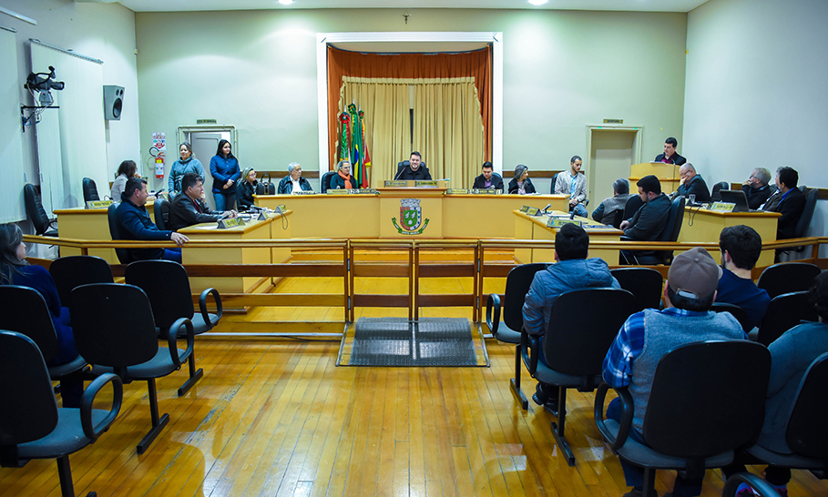 Dia da Margarida é celebrado na Câmara de Vereadores de Santo Ângelo