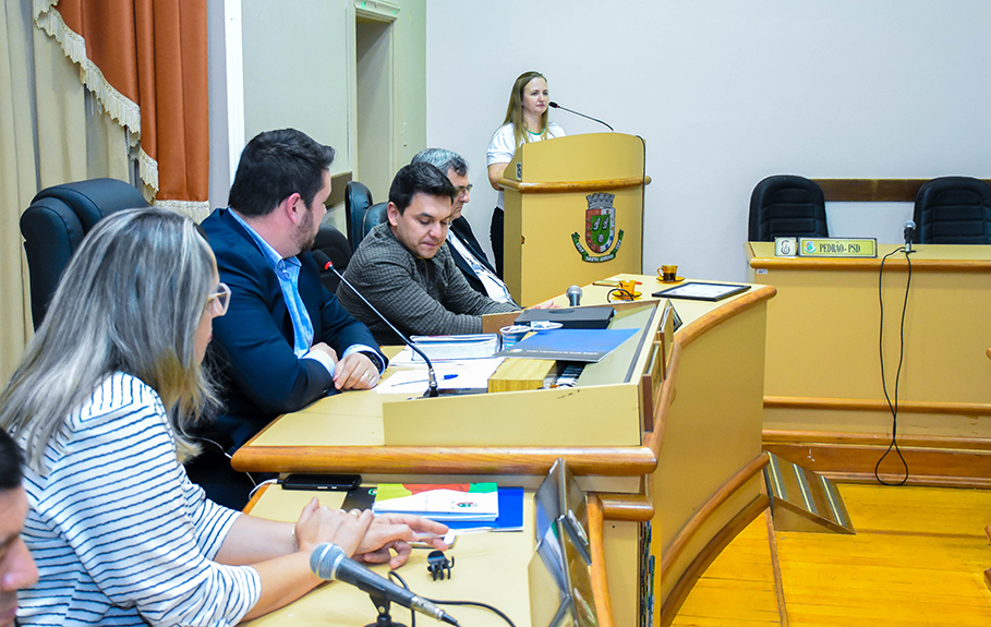 Câmara de Vereadores celebra os 30 anos da Pastoral da Criança