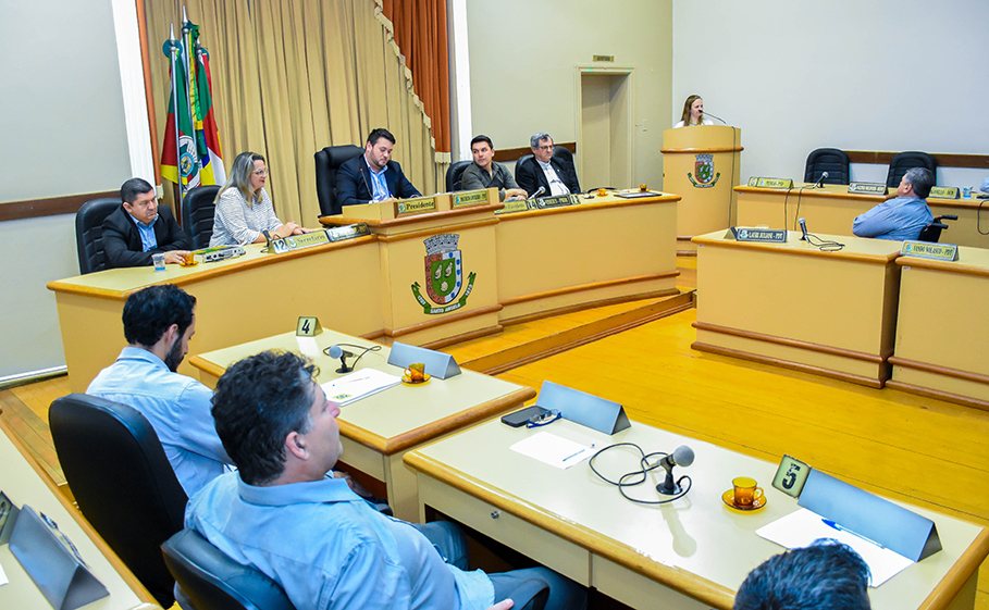 Câmara de Vereadores celebra os 30 anos da Pastoral da Criança