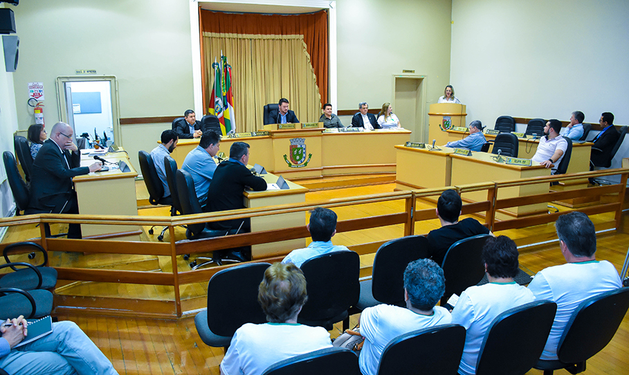 Câmara de Vereadores celebra os 30 anos da Pastoral da Criança
