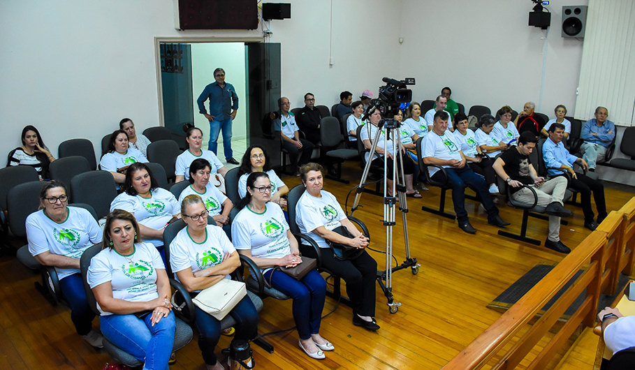 Câmara de Vereadores celebra os 30 anos da Pastoral da Criança