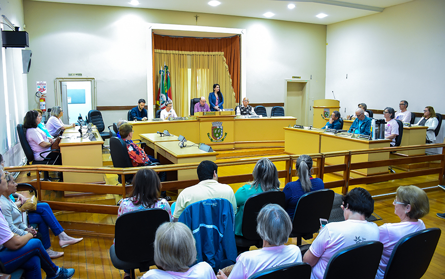 Sessão Especial “Vereador por um dia - Idoso” é realizada no Legislativo