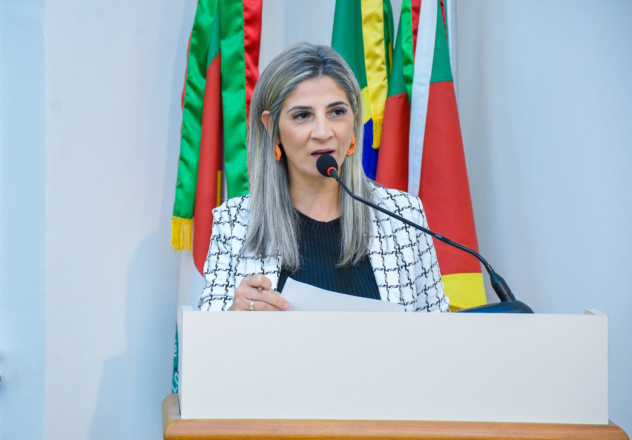   Confira as pautas deliberadas na Sessão Ordinária da última segunda-feira