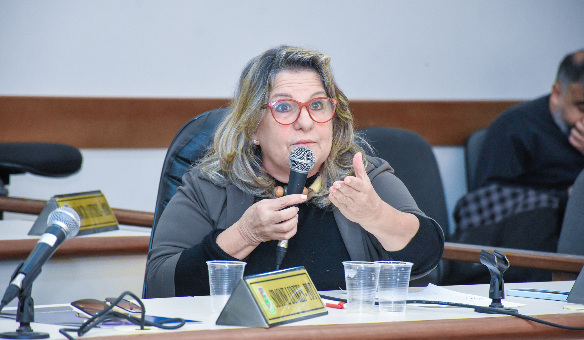 Legislativo realiza audiência pública para tratar assuntos referentes ao Aeroporto Regional Sepé Tiaraju - GEL