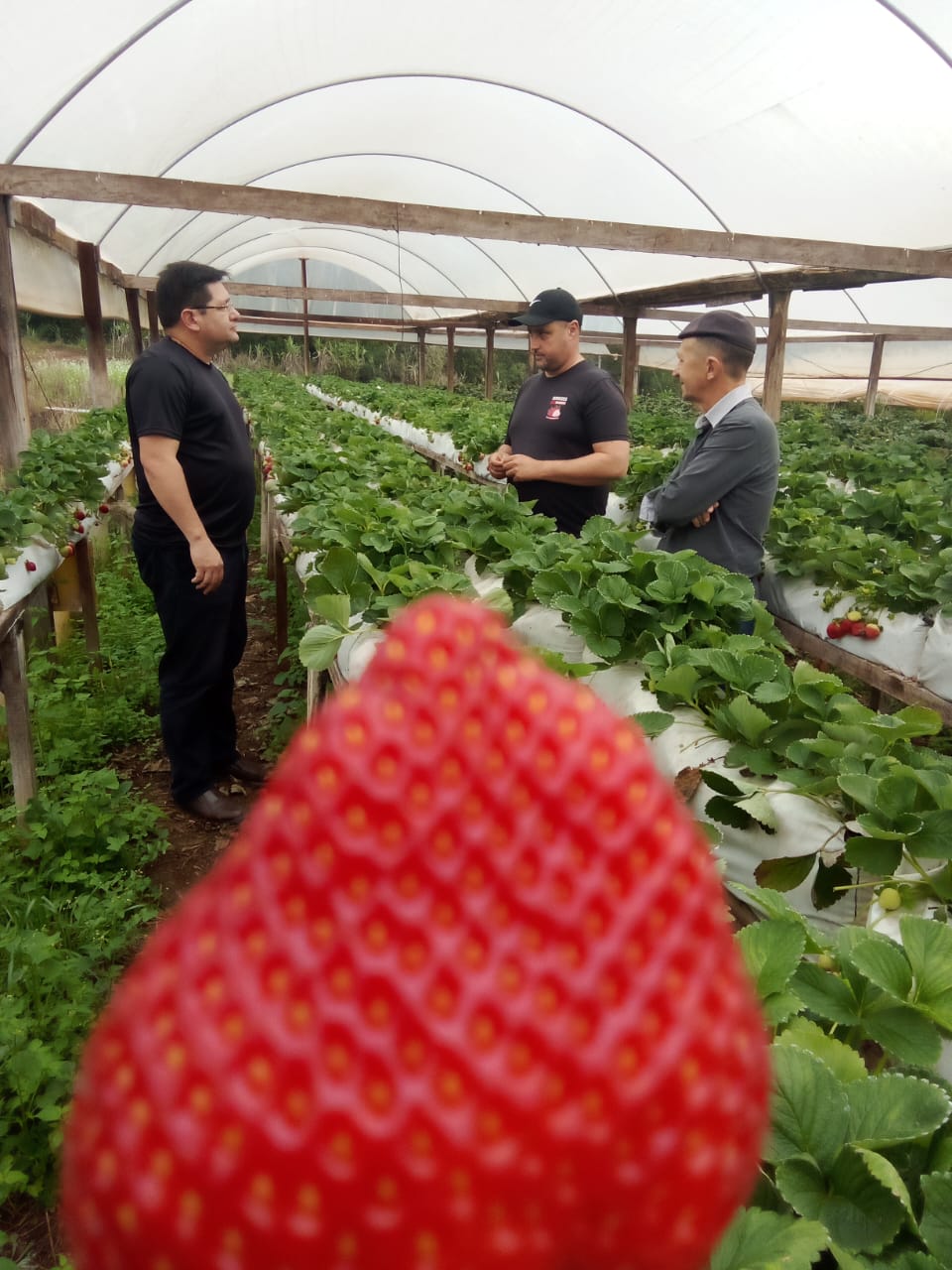 Presidente Carlos Gonçalves faz visita em área rural do município