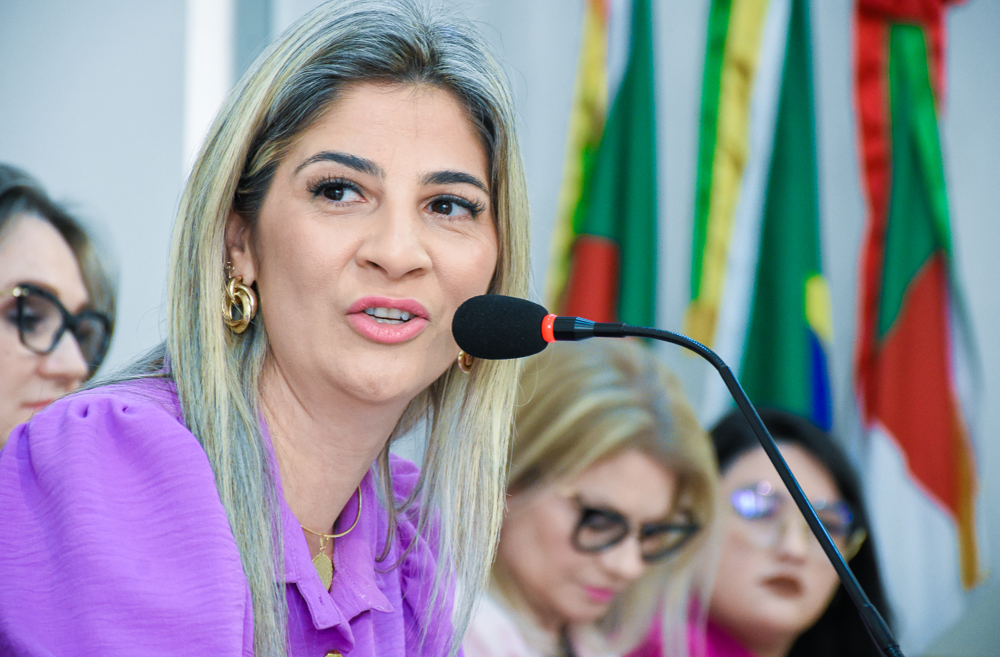 Procuradoria da Mulher através do Poder Legislativo realiza seminário sobre a campanha Agosto Lilás