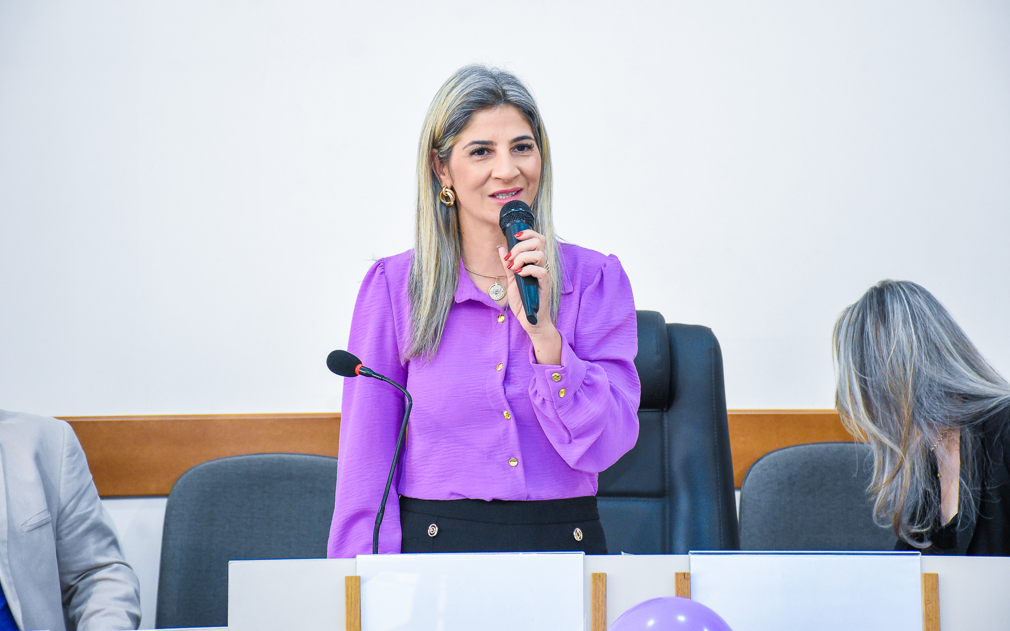 Procuradoria da Mulher através do Poder Legislativo realiza seminário sobre a campanha Agosto Lilás