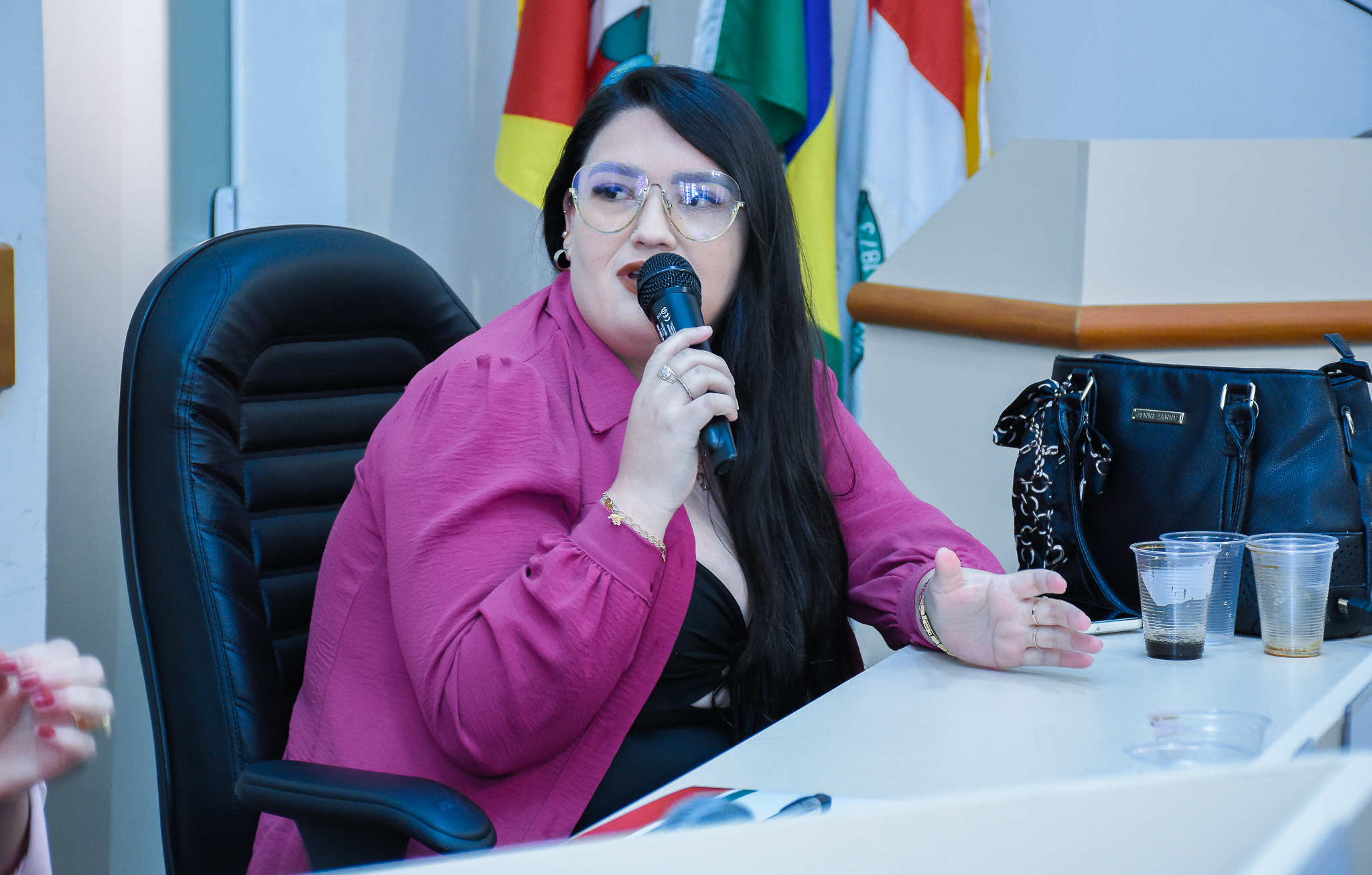 Procuradoria da Mulher através do Poder Legislativo realiza seminário sobre a campanha Agosto Lilás