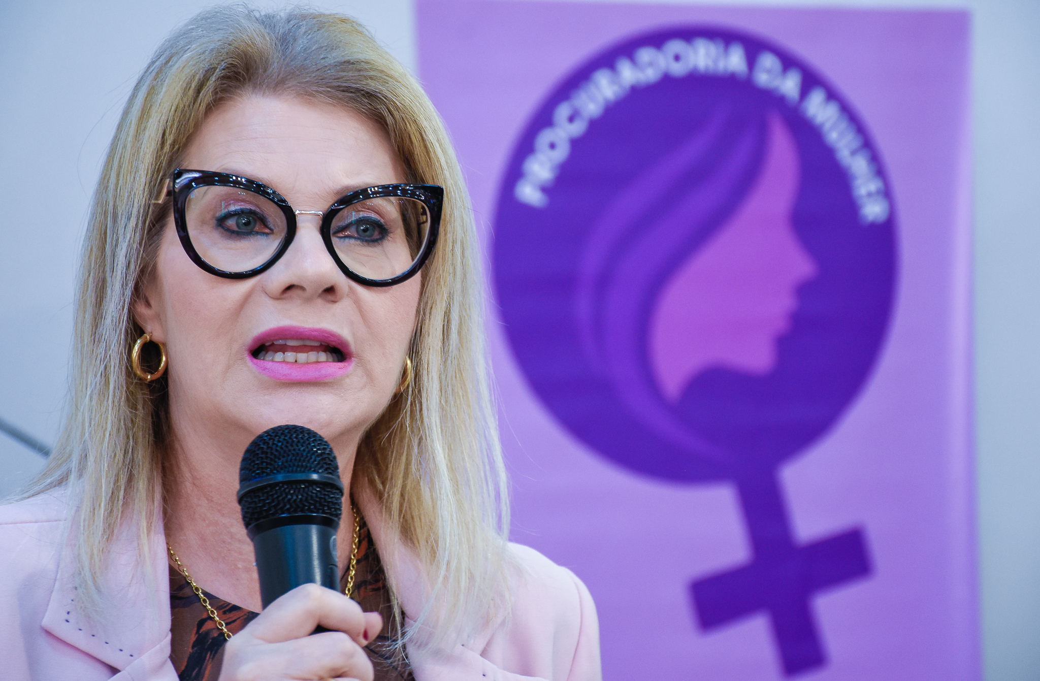Procuradoria da Mulher através do Poder Legislativo realiza seminário sobre a campanha Agosto Lilás