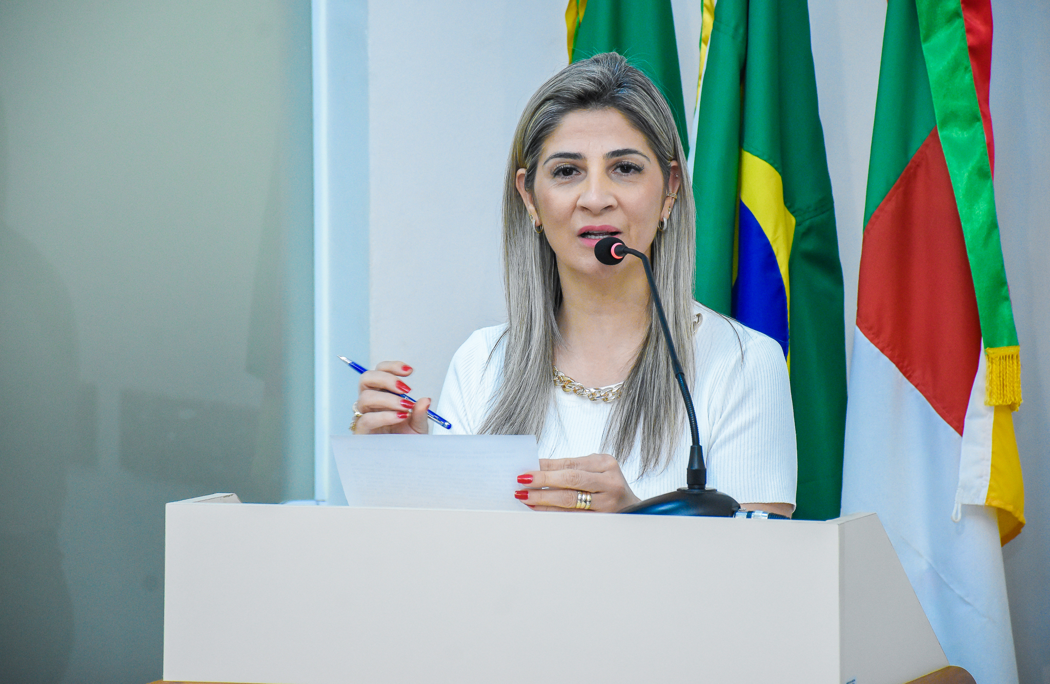 Câmara aprova requerimento que visa a formação de  uma comissão especial para discutir o programa Programa Estadual A Casa é Sua