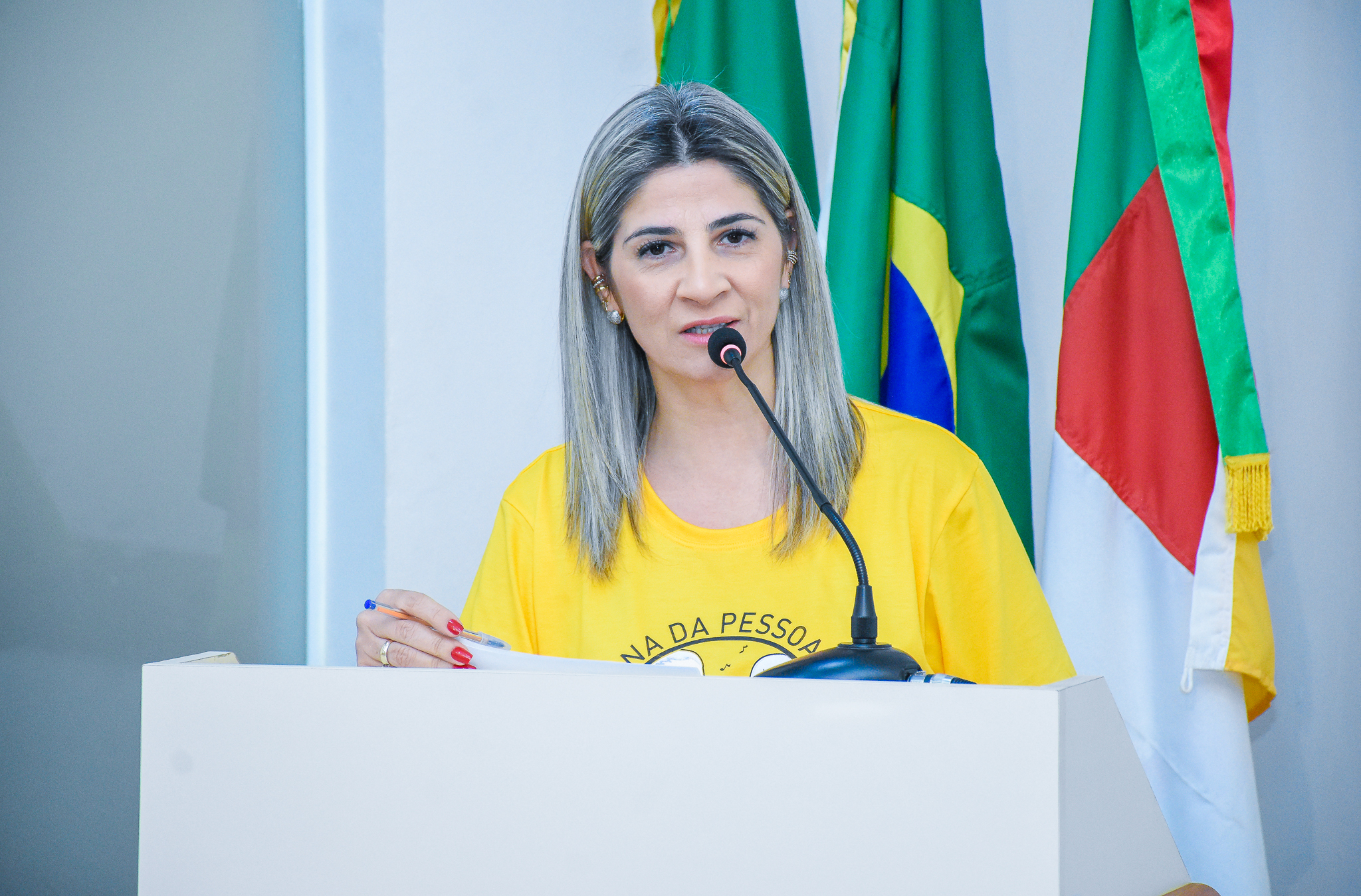 Saiba tudo sobre os Requerimentos colocados em pauta na última segunda-feira