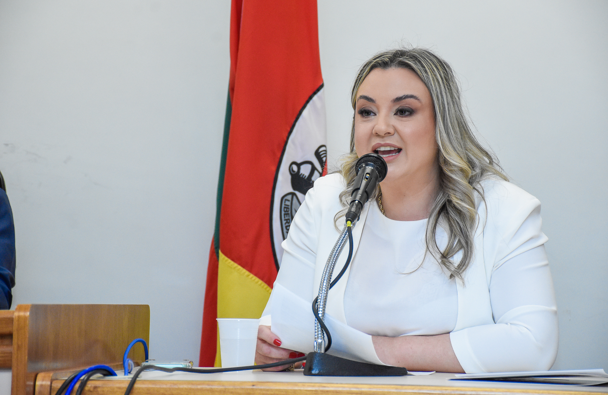 Legislativo prestigia solenidade de elevação de entrância da Comarca de Santo Ângelo