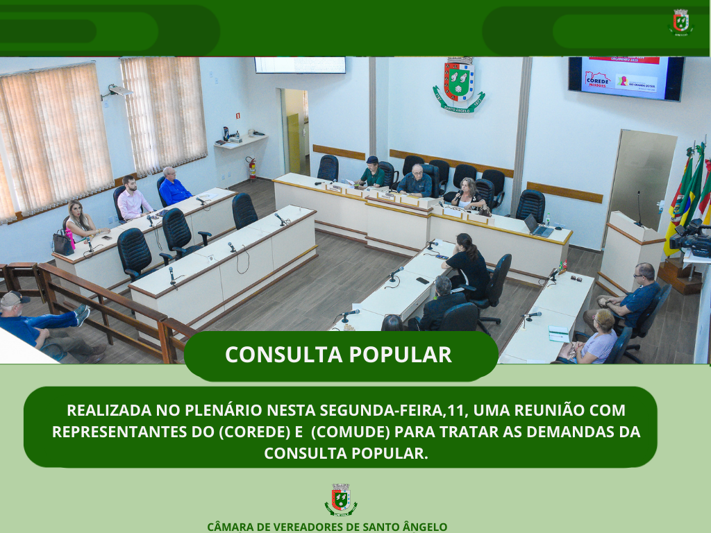 Consulta popular esteve em pauta no plenário do Legislativo Santo-angelense